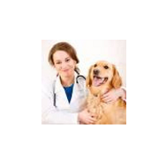 Dr OM s Pet Clinic